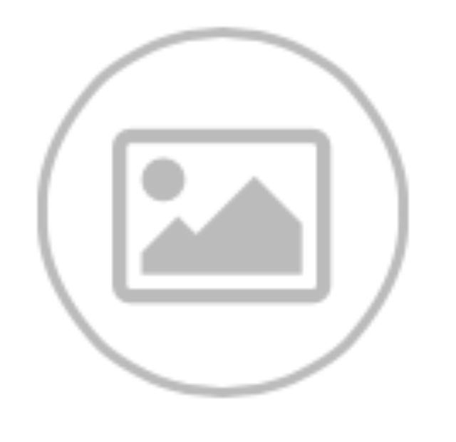 画像: 画像(写真)の挿入 画像挿入した場合、次の段落が新たに発生します