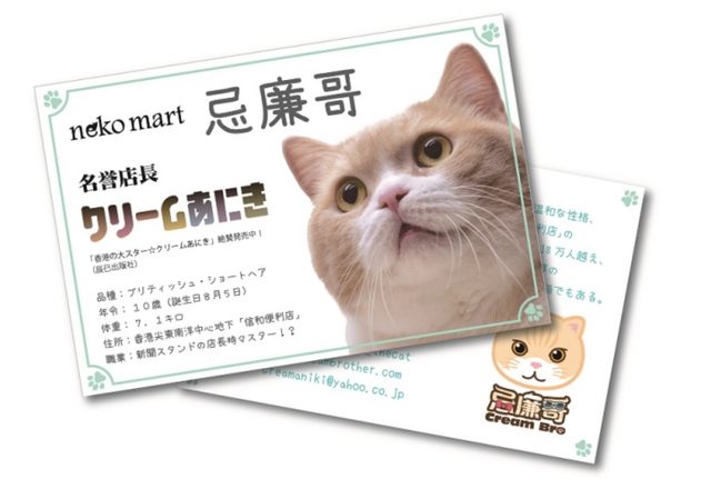 画像: ■香港の大スター猫『クリームあにき』が「neko mart」の名誉店長に就任します。名誉店長就任を記念して、『クリームあにき』商品をお買上げの方に、名誉店長就任記念“名刺”をプレゼント。*無くなり次第終了。また、8月15日(土)から、「クリームあにきneko mart名誉店長就任式in香港」の動画もコーナーで放映します。