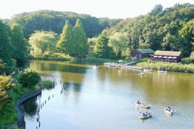 画像: 豊かな自然に溢れ、広々としているふなばしアンデルセン公園