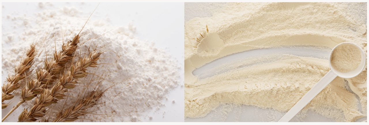 画像3: 古代ローマ発祥フード「PINSA」が日本初上陸!