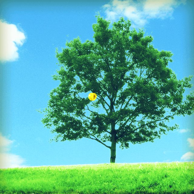 画像: EDEN -「頑張る女の子」を応援するアプリ