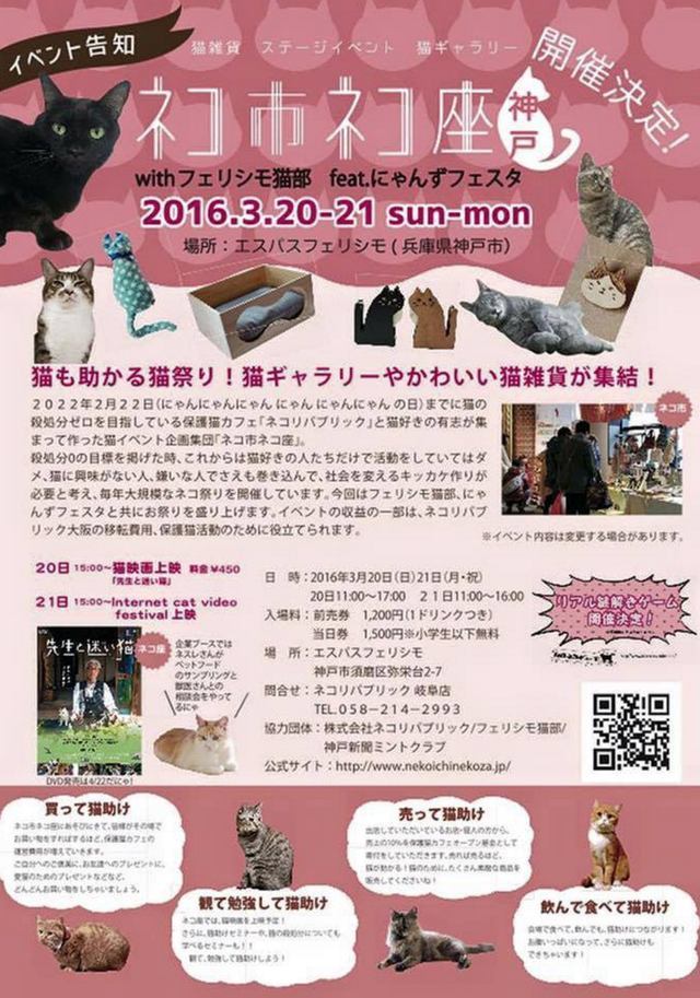 画像2: 猫好きニンゲンが集合して楽しみながら、猫助け