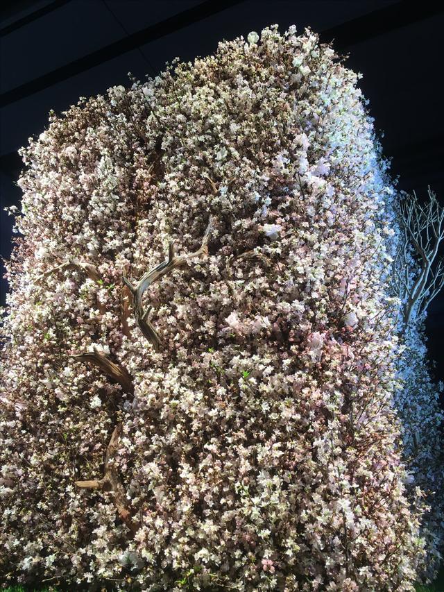 画像: なんと、造花ではありません!