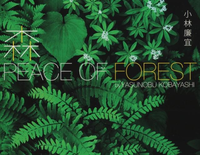 画像: ▼ 出版物概要 1.書籍名:『森 PEACE OF FOREST』 2.発売日:2016年3月16日 3.定価:本体2,300円+税 4.判型:A4変型判 240頁