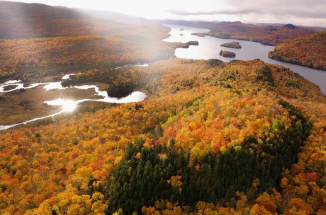 画像: Canada.紅葉のピークの時期や場所は毎年変化する。この年は出遅れたと思ったが、偶然が重なり最高の光景に出会えた。