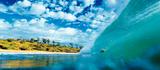 画像3: 5月16日(月)に、写真集『HAWAII』(写真:杉本 篤史)が刊行されます。