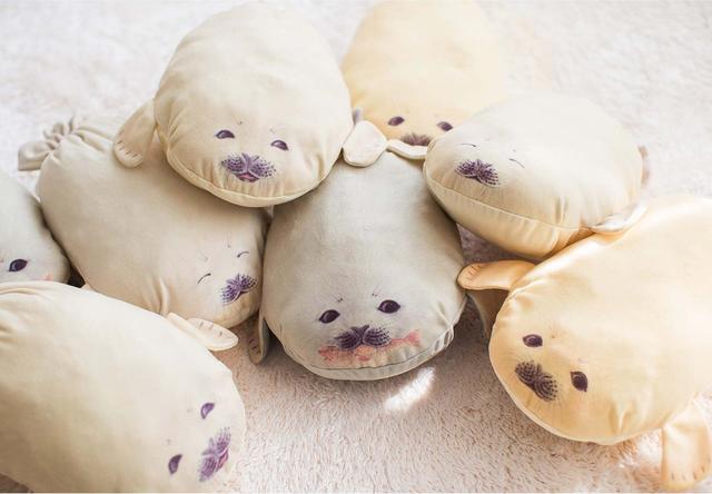 あなたも念願のアザラシが飼えます！ - カワコレメディア