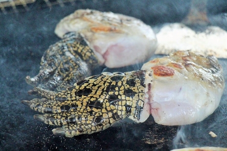 画像4: クロコダイルにラクダにカンガルー！？『珍肉BBQ』が6/5(日)に東京で開催決定！