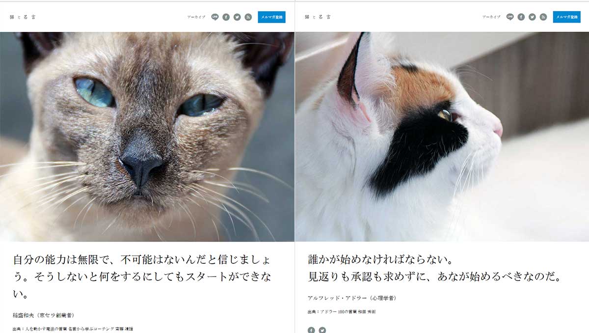 画像3: 猫の写真と名言を毎日配信するサービス「猫と名言」