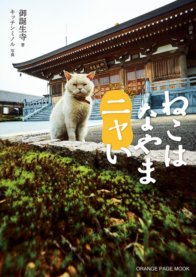 画像: 『寺ねこDAYS ねこはなやまニャい』 6月17日(金)発売 1300円(税別) A5判、アジロ綴じ、カバーつき、総ページ100ページ www.orangepage.net