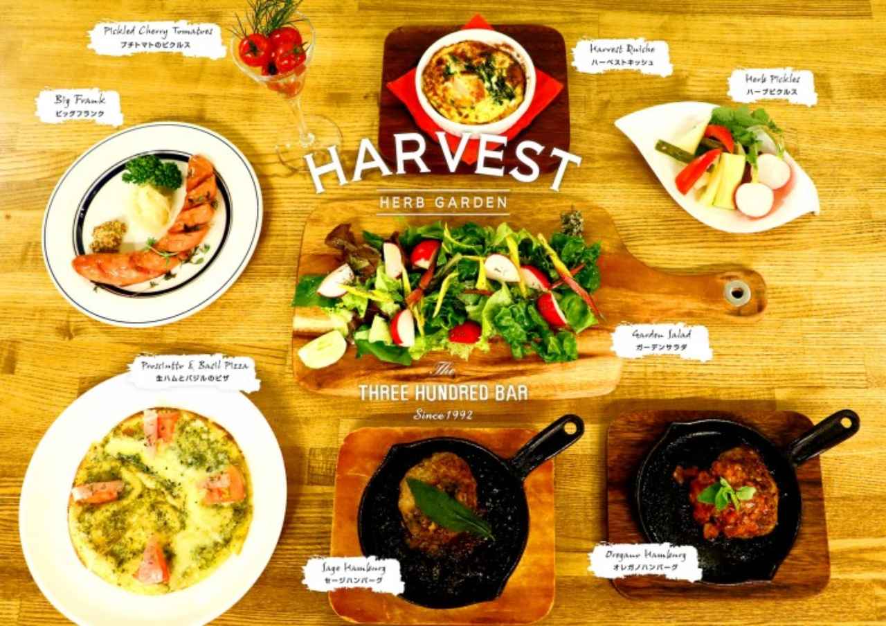 画像3: ハーブを使用したカクテルや無農薬野菜を使った料理を楽しむ収穫祭『HARVEST ハーベストVol.4』