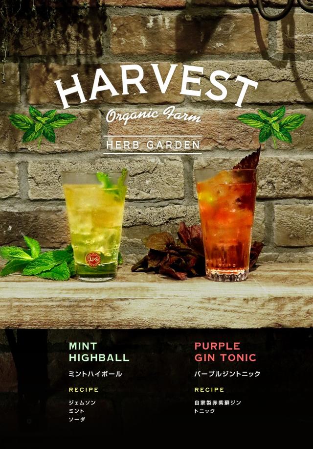 画像1: ハーブを使用したカクテルや無農薬野菜を使った料理を楽しむ収穫祭『HARVEST ハーベストVol.4』