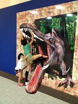 画像2: 『スーパートリック3Dアート展』さいたまスーパーアリーナ TOIROにて開催決定