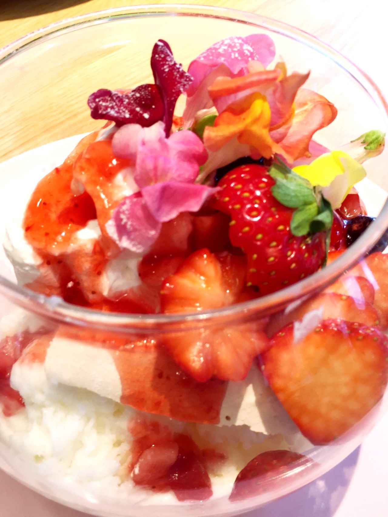 画像1: 目にも鮮やかなAussie Sweetsも☆