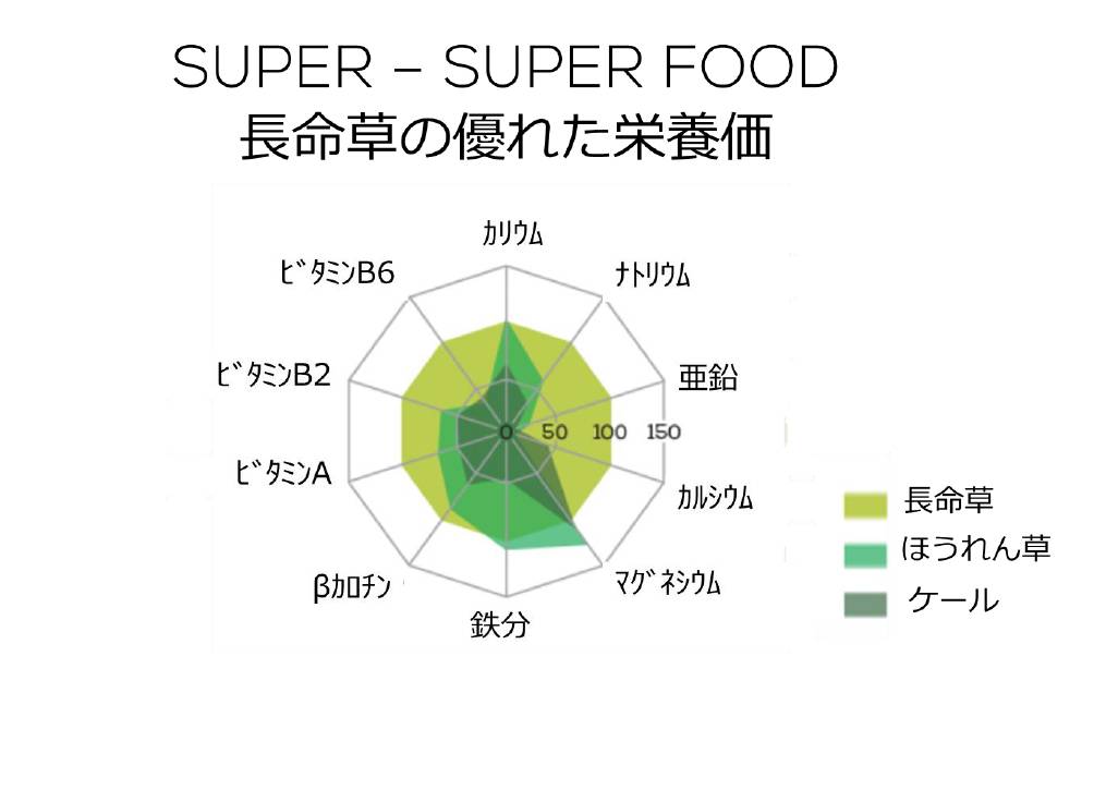 画像: 女性の味方「長命草」でキレイをチャージ！ケールやホウレンソウを超えるビタミン・ミネラル含有