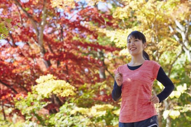 画像: 軽井沢の森から始まる一日、「早朝紅葉ウォーキング」