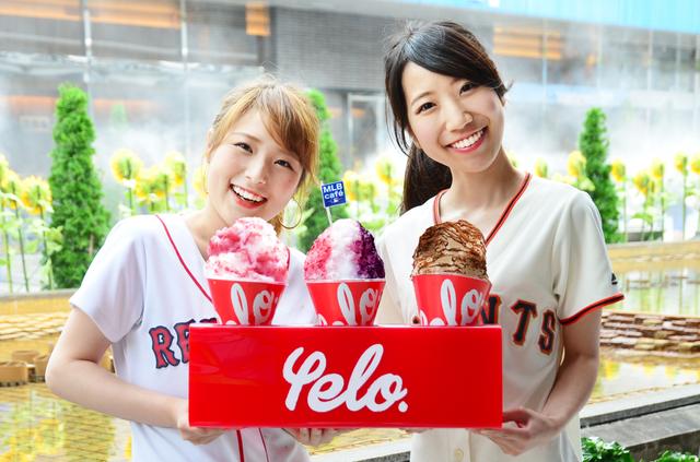 画像: かき氷専門店「yelo」との夏季限定コラボかき氷がMLB cafe' TOKYO 東京ドームシティ店で絶賛発売中!