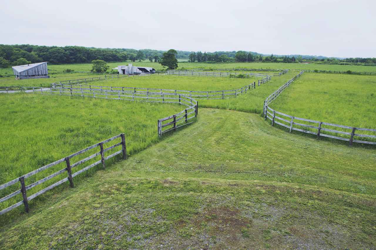 画像: 北海道・十勝帯広の56,000坪の広大な牧草地に 天井も壁もないホテルが出現！