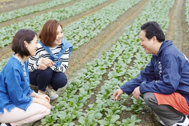 画像: 京野菜の伝統と発酵技術に触れる旅「京のほんまもん おつけもの滞在」