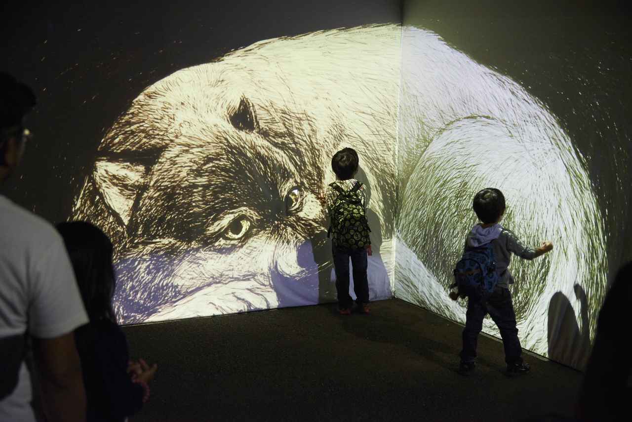 画像2: 横浜市立金沢動物園で8月27日、28日開催