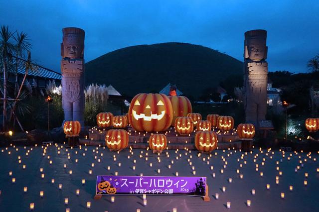 画像: 10/1～31★スーパーハロウィン2016開催 | 伊豆高原のふれあい動物園 伊豆シャボテン公園｜伊豆シャボテン公園グループ