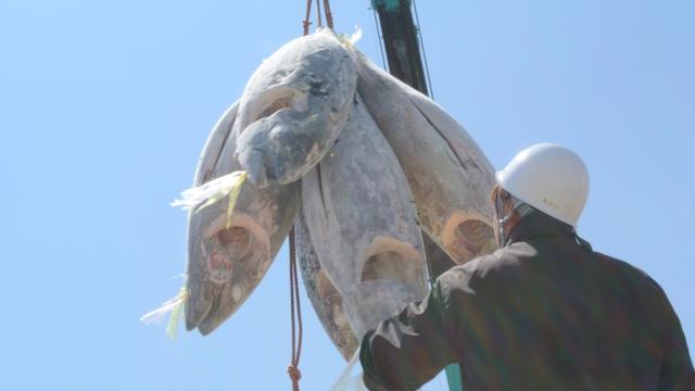 画像2: JALファーストクラス機内食にも採用された 『極上まぐろの角煮』はいかが?