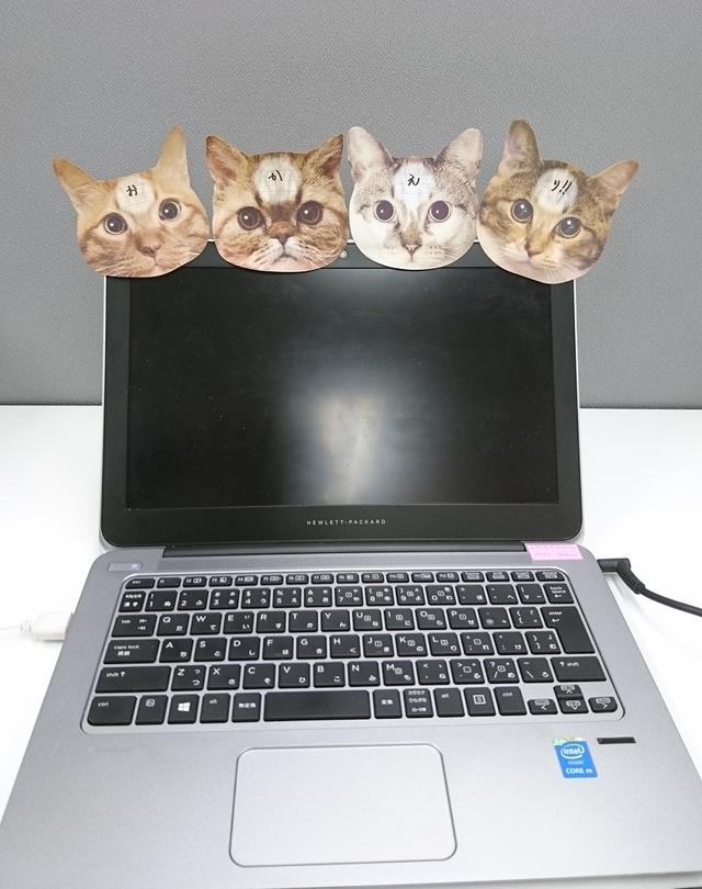 画像: 4匹揃えるとこんなこともできちゃいます!みんなが待っていてくれたかのようなこの癒し・・・「お・か・え・り!」