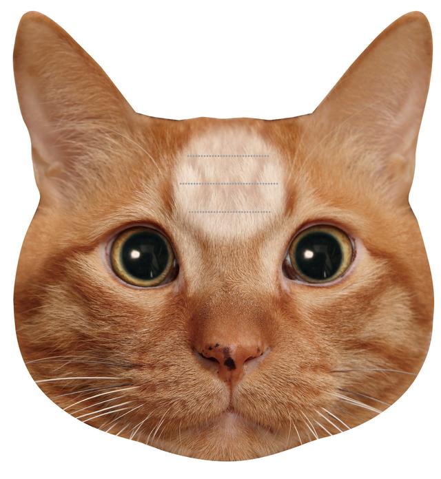 画像2: 『猫のひたいふせんメモ』に新しい仲間2匹が登場!