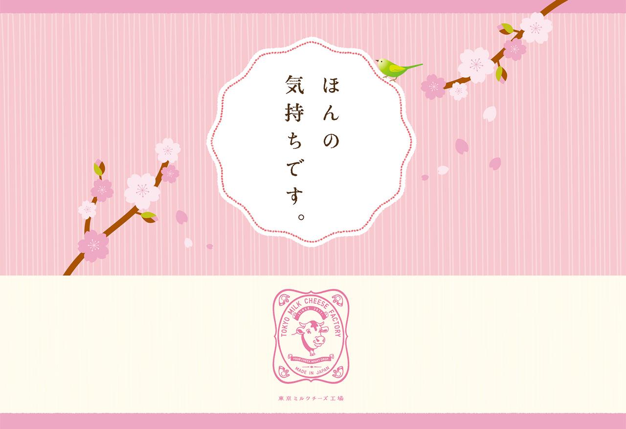 画像: 東京ミルクチーズ工場