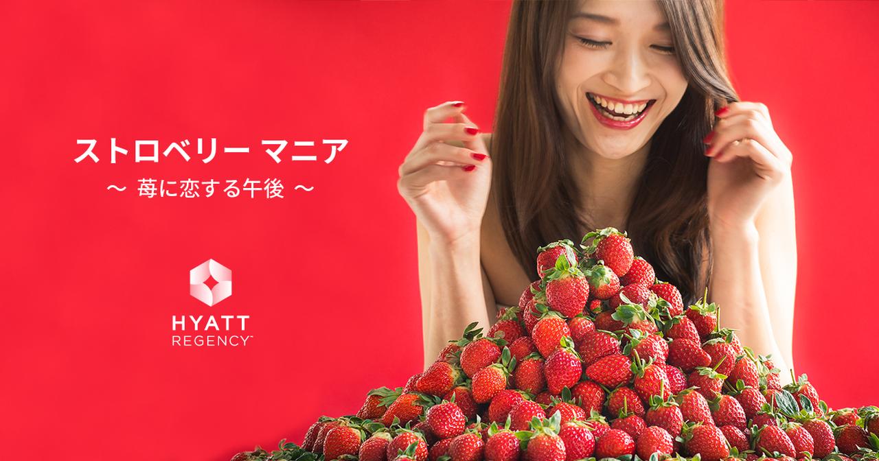 画像: ストロベリーマニア ～苺に恋する午後～