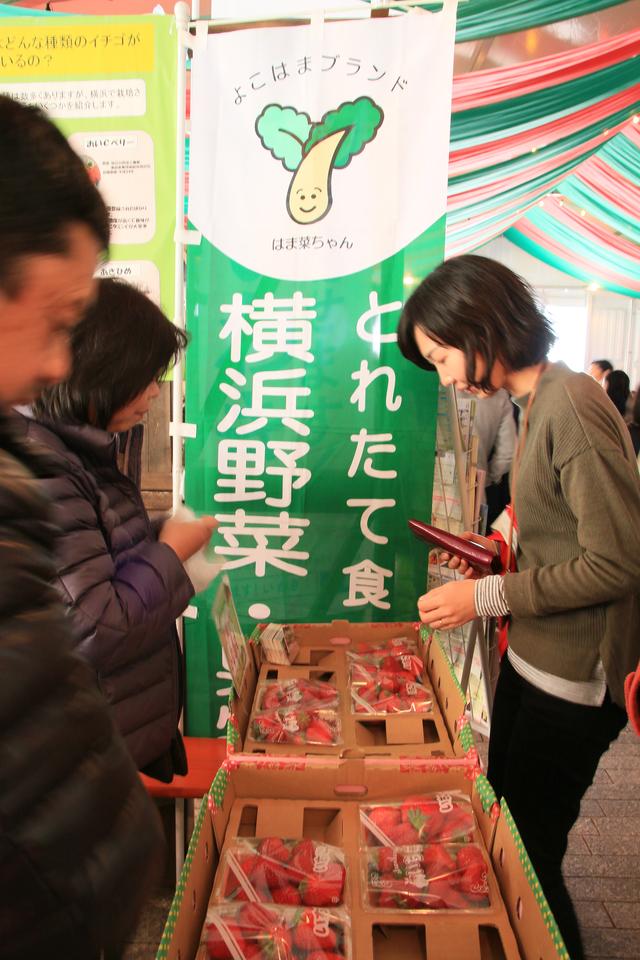 画像5: 赤レンガ倉庫に甘酸っぱい香りが広がる10日間!