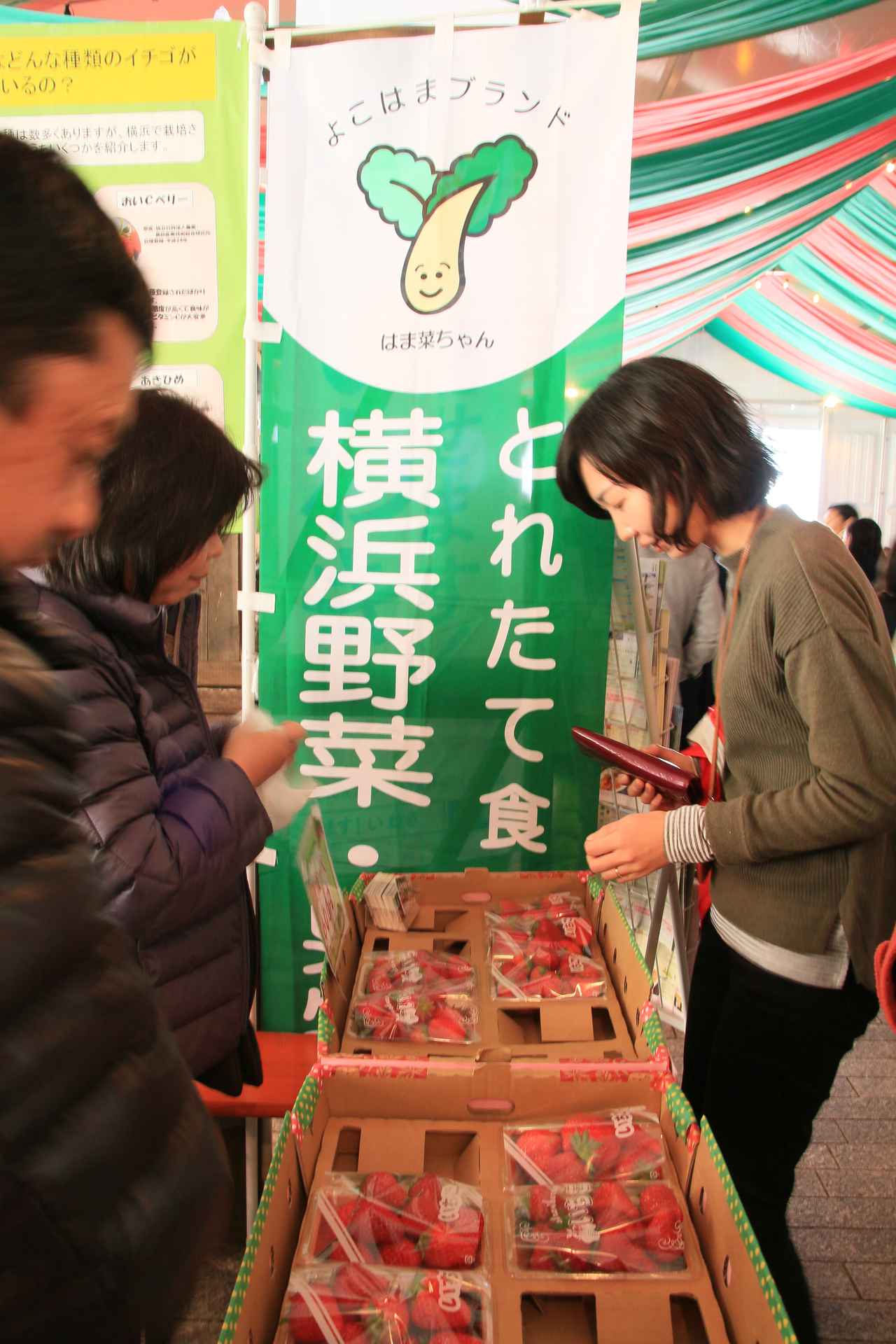 画像5: 赤レンガ倉庫に甘酸っぱい香りが広がる10日間！