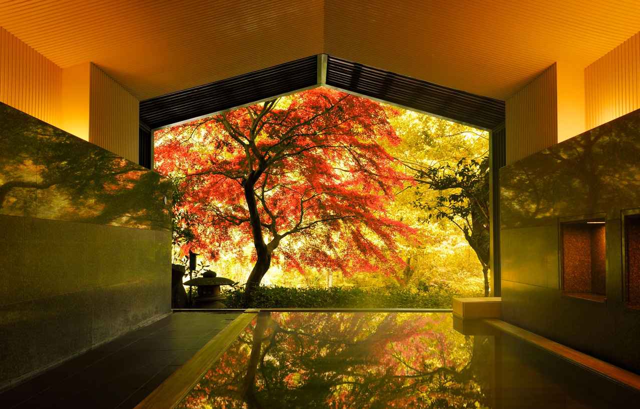 画像: 星野リゾート　界 箱根【公式】｜箱根湯本 温泉旅館