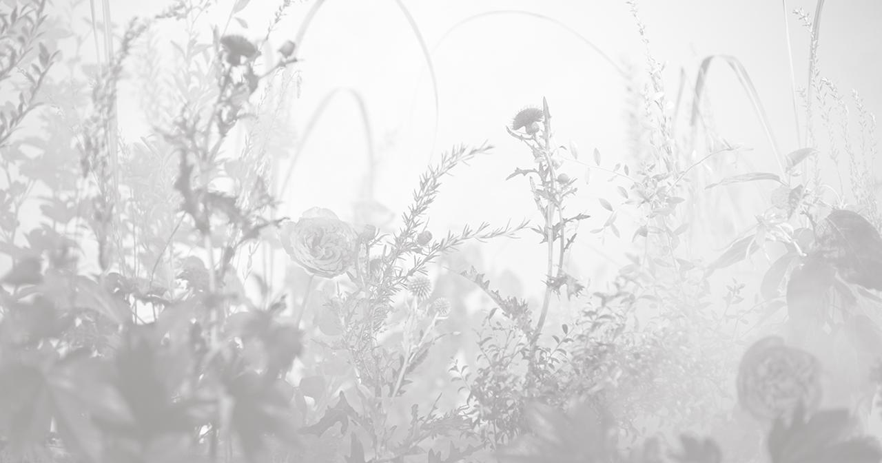 画像: F organics Website