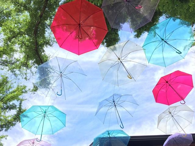 画像: 梅雨の季節も屋外で楽しめるイベント「アンブレラスカイ2017」