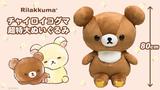 画像1: 身長80cm『チャイロイコグマ超特大ぬいぐるみ』が発売開始!