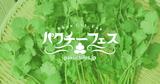 画像1: 世界初開催!?『パクチーフェス』