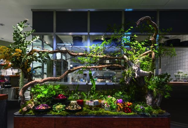 画像: 表参道ヒルズに「WELLNESS LOUNGE」がオープン!