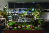 画像: 表参道ヒルズに「WELLNESS LOUNGE」がオープン!