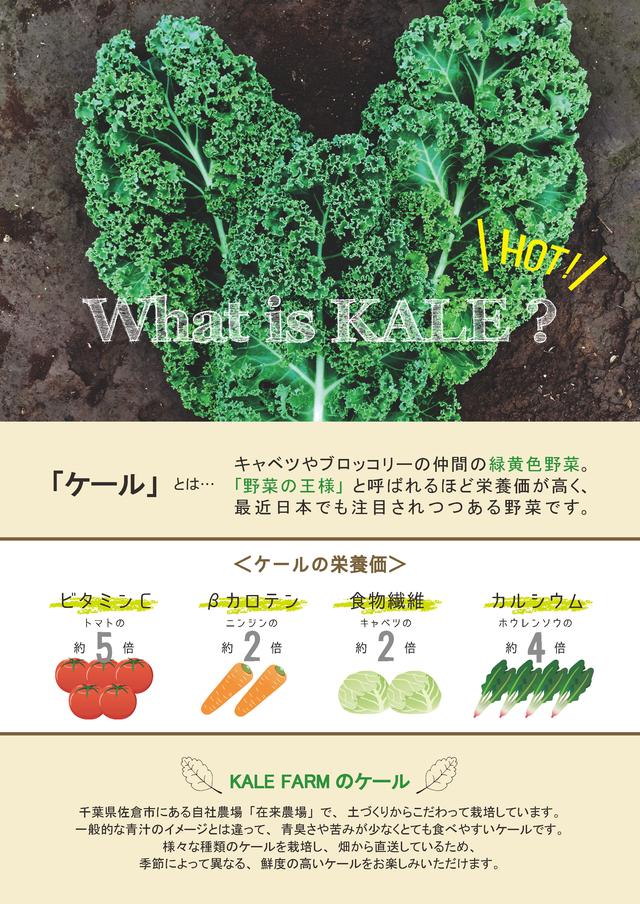 画像4: 誰か食べてください!7日間限定!自家農園で大豊作につきケール祭り開催!
