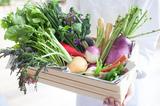 画像: 埼玉県の農家直送の新鮮な無農薬野菜サラダブッフェも充実しており、世界各国の約50種類のメニューがお楽しみいただけます