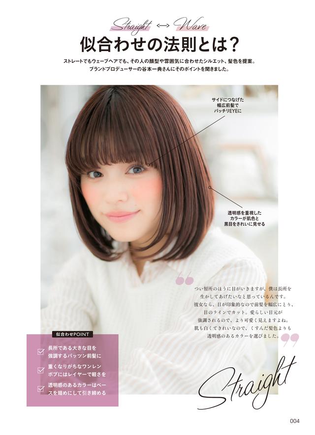 画像2: 埼玉の美容院グループがプロデュースした書籍『美女113人の髪型図鑑』