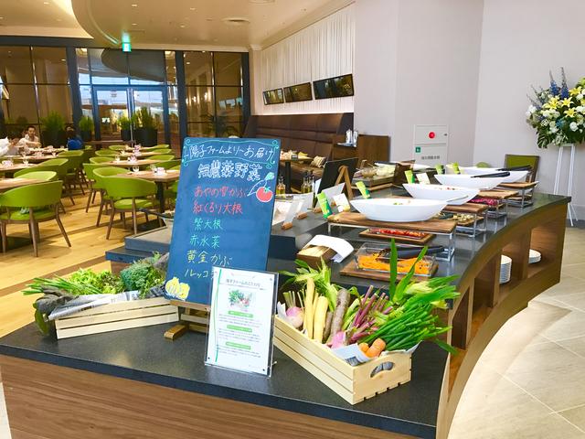 画像: 陽子ファームより届いた新鮮野菜がたっぷり!