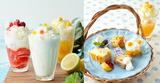 画像: この夏は、今しか楽しめない「カルピス」づくしのTEA TIMEで、爽やかでCOOLに!