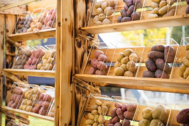 画像: 30品種のじゃがいもを、見て触って学ぶ「じゃがいもセラー」