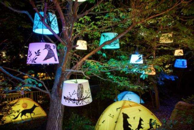 画像: 和のあかり展とのコラボレーション企画