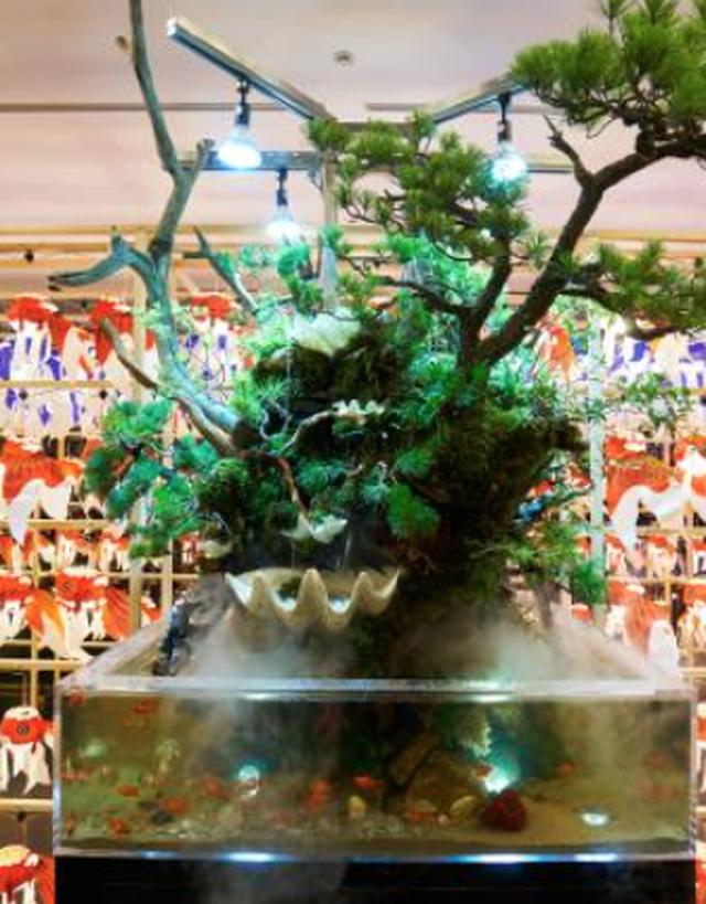 画像: 竜宮城のアクアリウムイメージ