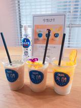 画像1: カルピスは発酵食品の仲間!