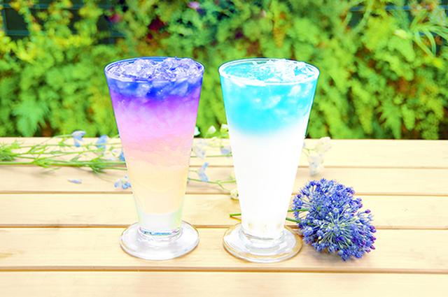 画像: 「バタフライピー(ライチ、ピーチ、ライム、杏仁ミルク、カルピスメロン)」 価格:各350円(税込) ※+50円でタピオカトッピング可 バタフライピー(和名:蝶豆)とはタイ原産のお茶の花で、美容や健康に良いハーブティーとしてタイや台湾で多くの女性に「神秘の青いお茶」として親しまれています。青色の正体はアントシアニンでアンチエイジングや眼精疲労の改善に効果があると言われています。さらに、他のハーブティーや果汁などを加えることにより、青色が七色に変化する不思議な特徴を持っているのも魅力の一つです。「飲んで美味しく健康、見て楽しむ」を満たした横浜中華街初の新感覚ドリンクです。