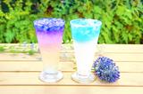 画像: 「バタフライピー(ライチ、ピーチ、ライム、杏仁ミルク、カルピスメロン)」 価格:各350円(税込) ※+50円でタピオカトッピング可 バタフライピー(和名:蝶豆)とはタイ原産のお茶の花で、美容や健康に良いハーブティーとしてタイや台湾で多くの女性に「神秘の青いお茶」として親しまれています。青色の正体はアントシアニンでアンチエイジングや眼精疲労の改善に効果があると言われています。さらに、他のハーブティーや果汁などを加えることにより、青色が七色に変化する不思議な特徴を持っているのも魅力の一つです。「飲んで美味しく健康、見て楽しむ」を満たした横浜中華街初の新感覚ドリンクです。